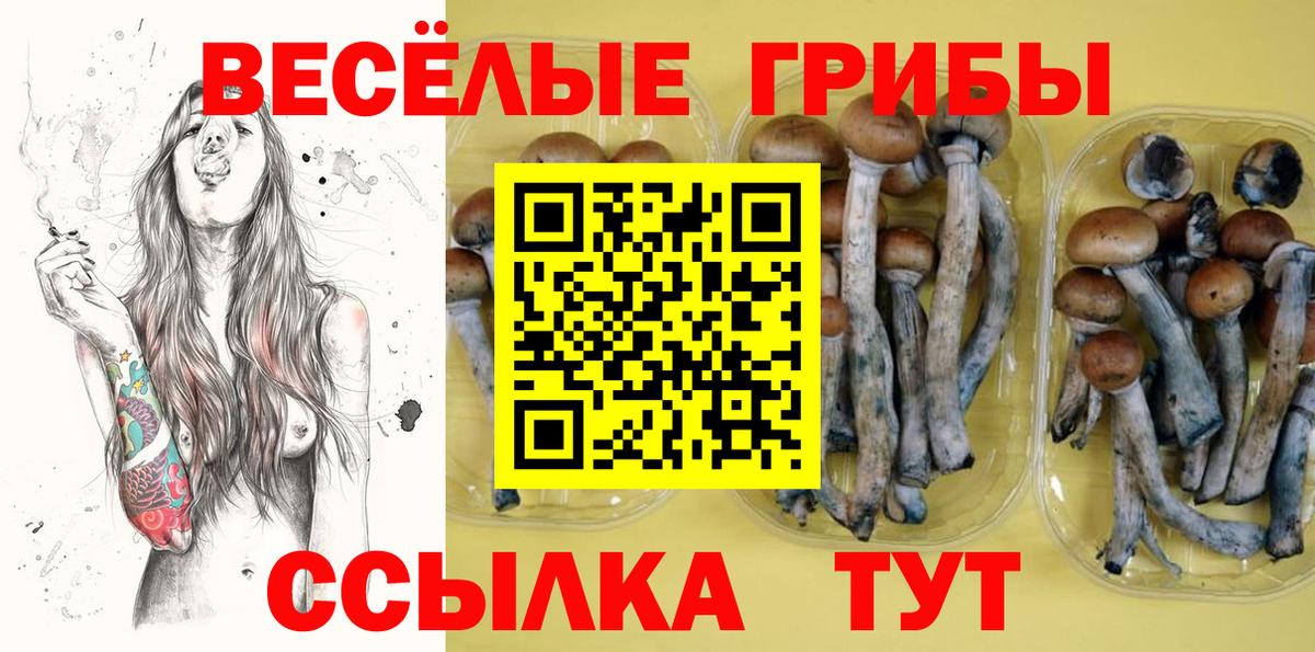 Оренбург  Псилоцибиновые грибы прущие грибы  Вход с VPN  Галлюциногенные грибы Magic Shrooms 