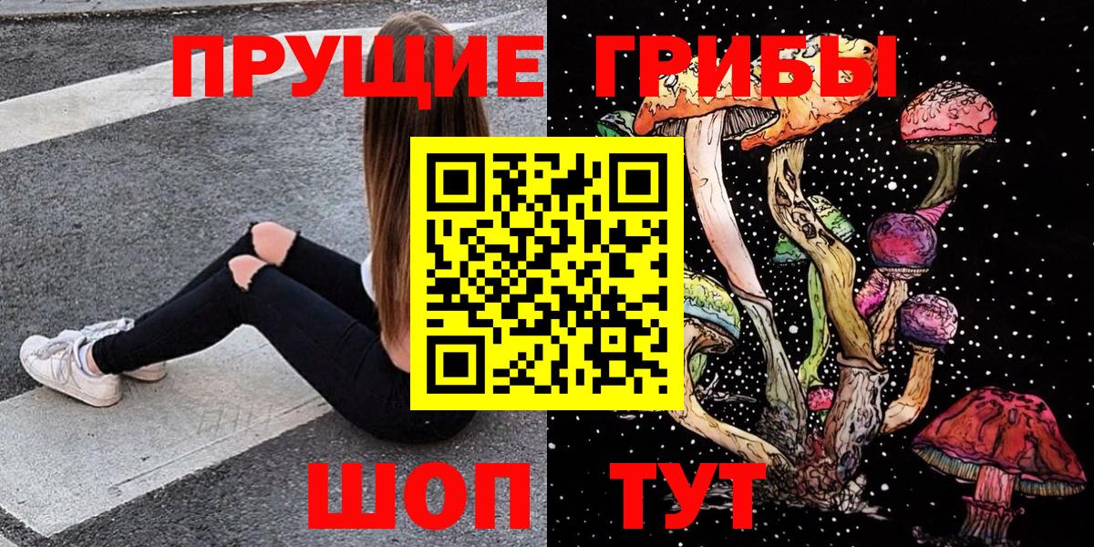 Псилоцибиновые грибы Psilocybe Оренбург